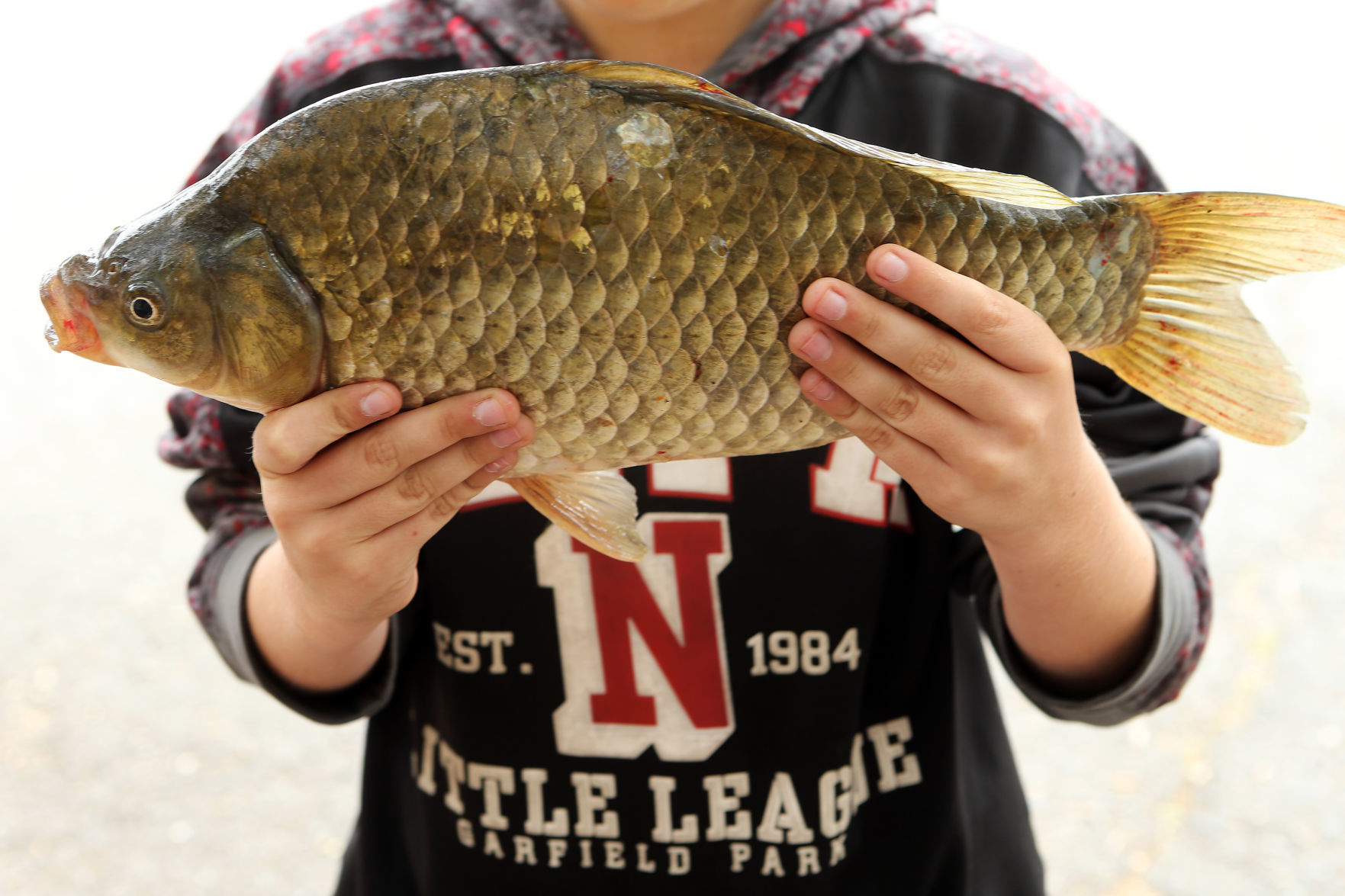 George Carl Kids Fishing Derby
